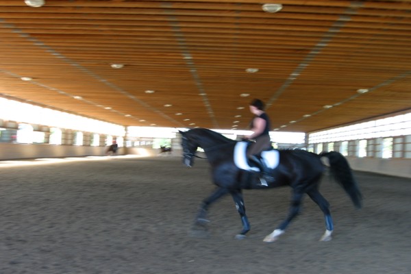 ../image/joan's reunion,nj,vermont 9,2005 039.jpg